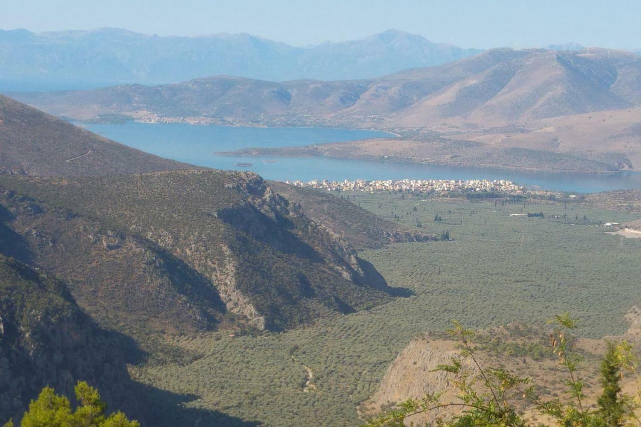 Апартаменты Delphic Horizons Экстерьер фото